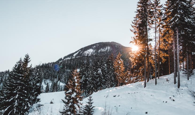Vosges : la polémique enfle après avoir pris 70 tonnes de neige pour réapprovisionner une station de ski