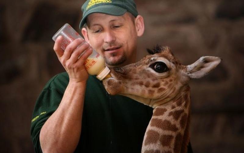 1er forum des métiers animaliers au Zoo d'Amnéville