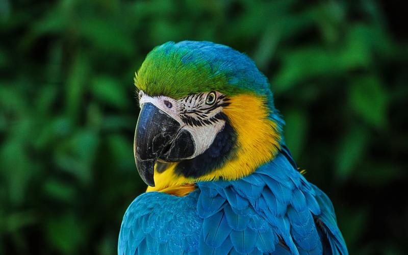 Bettembourg : le Parc Merveilleux ouvre ses portes ce samedi