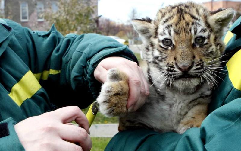 Colloque et partage d'expérience au zoo d'Amnéville
