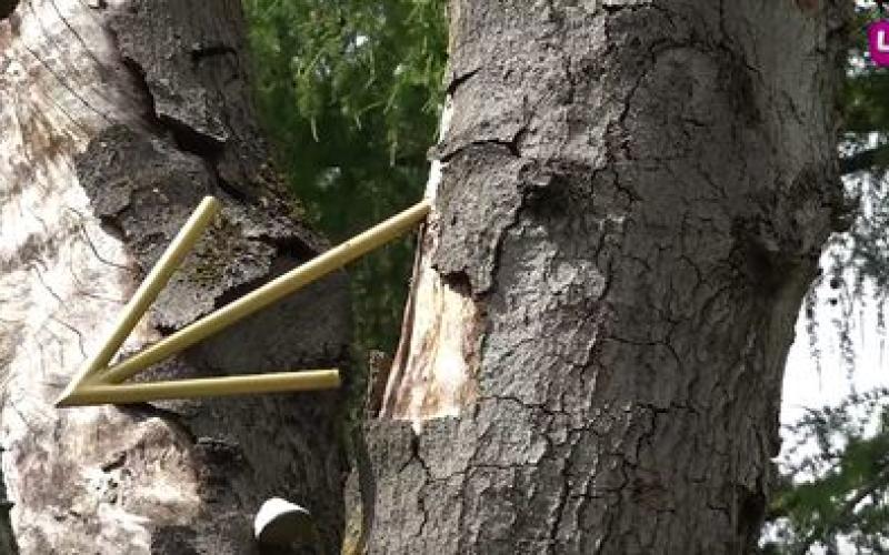 De l’art dans les jardins à Metz