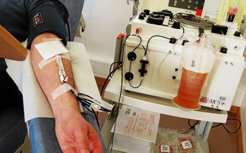 EFS Lorraine : le plasma, un don important et très recherché