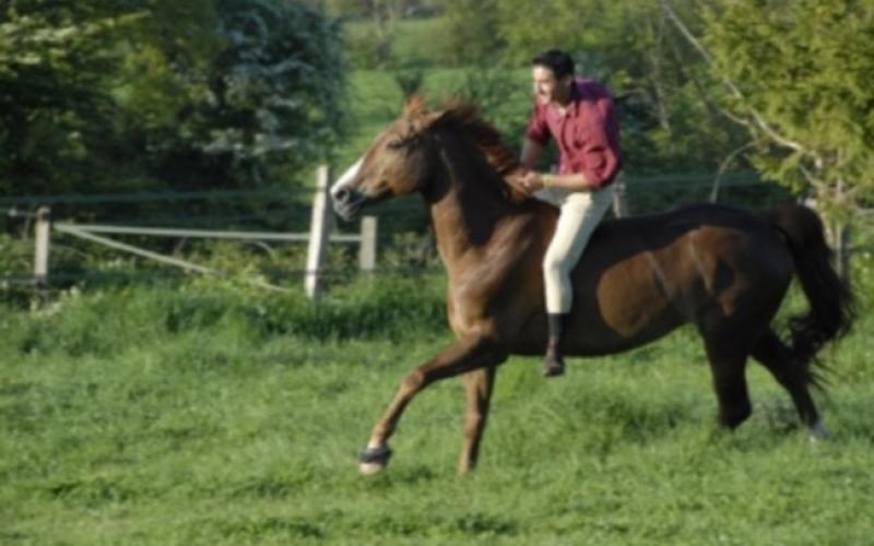 La grogne des centres équestres face à la hausse de la TVA