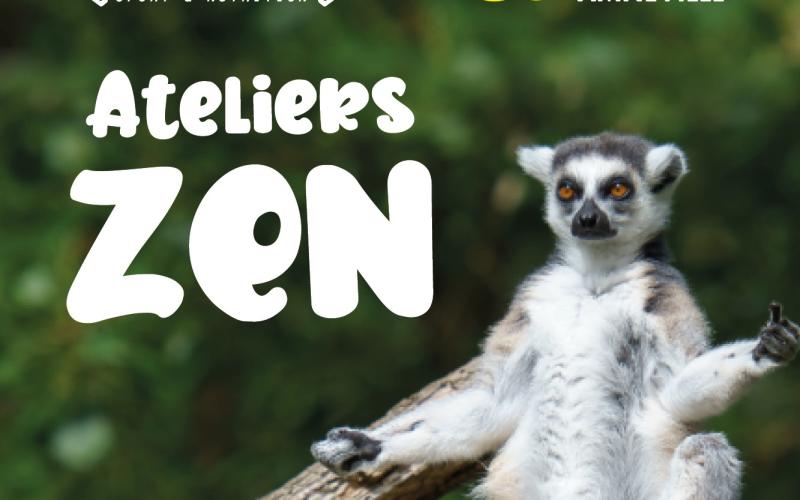 La zenitude s'invite au Zoo d'Amnéville !