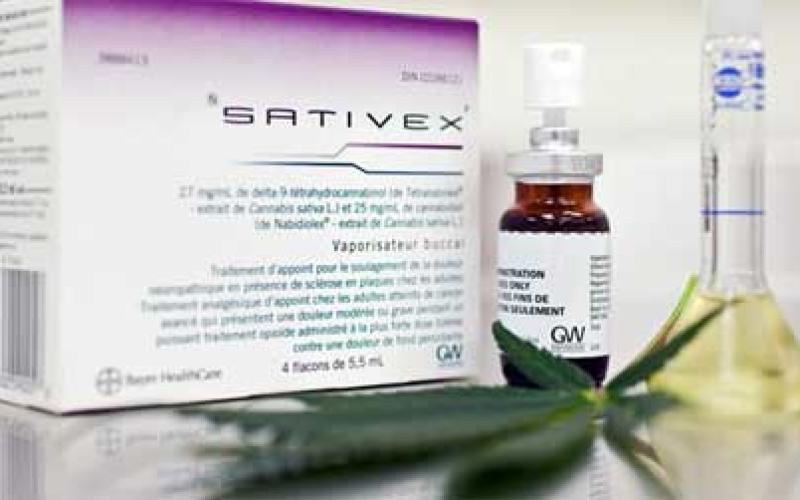 Le Luxembourg va légaliser le cannabis thérapeutique