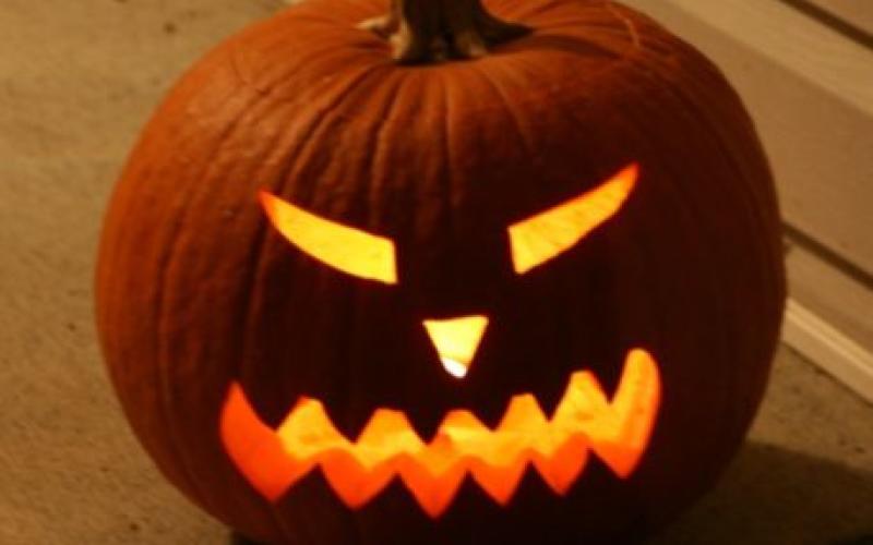 Le zoo d'Amnéville fête Halloween avec les plus petits !