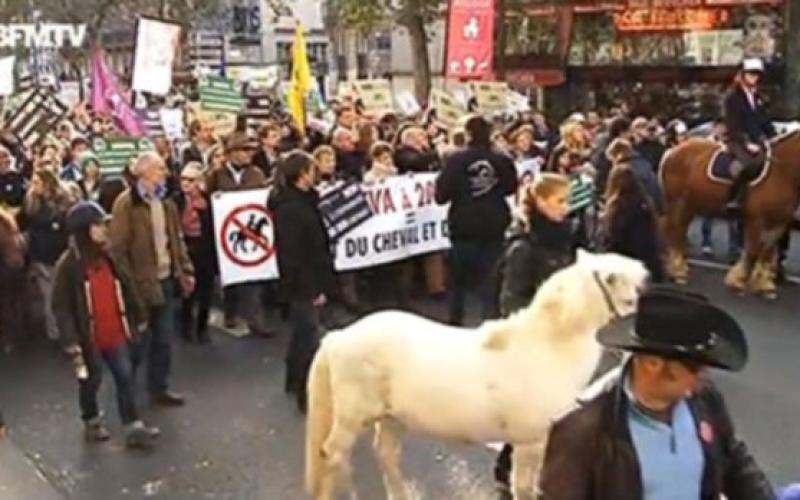 Les anti-équitaxe et écotaxe paralysent le trafic