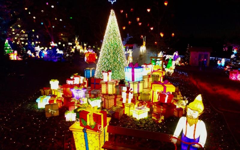 Metz : fréquentation record pour le Sentier des Lanternes !
