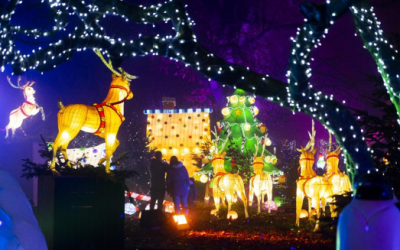 Metz : près de 50 000 visiteurs pour le Sentier des Lanternes !