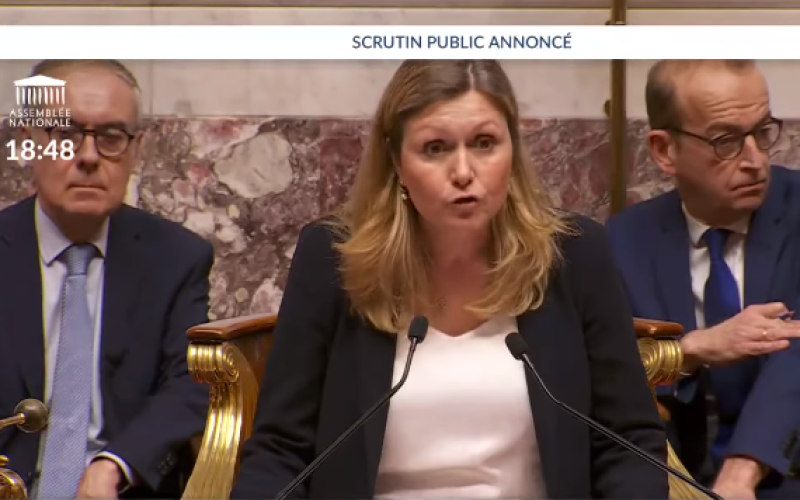 Retraites : les motions de censure rejetées, la réforme adoptée