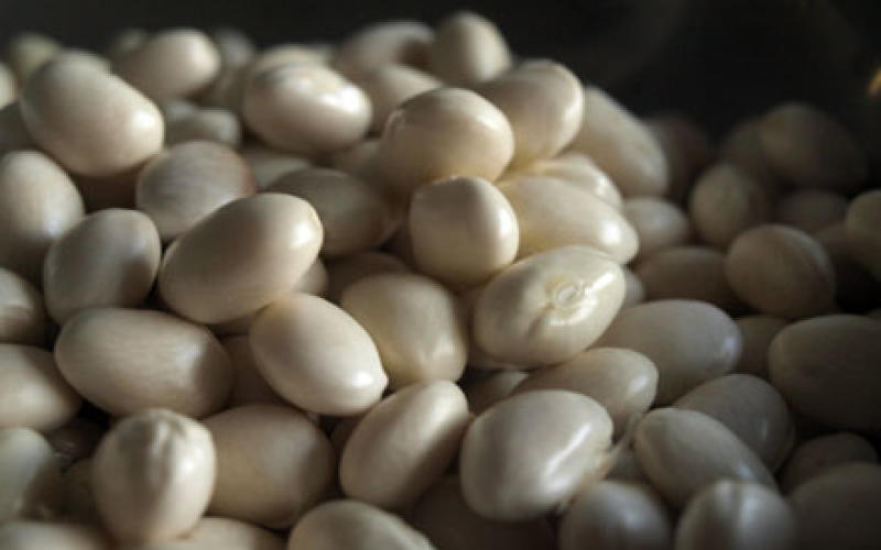Trouvaille insolite dans des haricots blancs