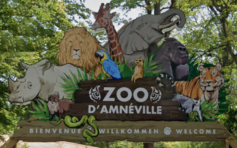 Zoo d'Amnéville : belle hausse de la fréquentation en 2022