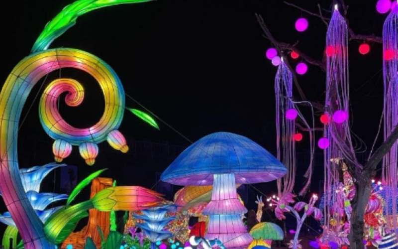 Zoo d'Amnéville : Luminescences vous attend pour un final inédit !