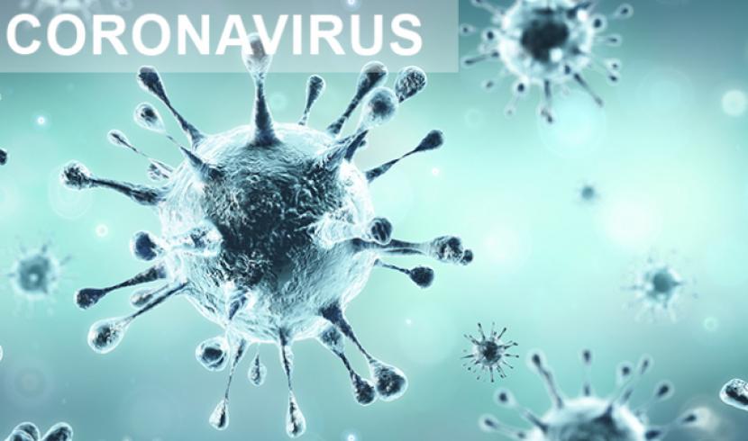Coronavirus : les derniers chiffres pour le Grand-Est