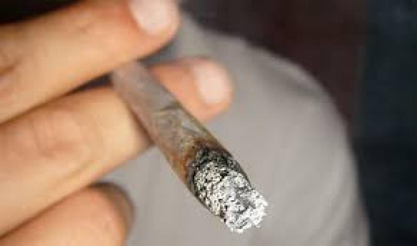 Nancy : l'hôpital cherche des gens fumant au moins 7 joints par semaine
