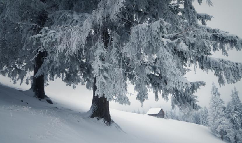 Vosges : un skieur recherché après une coulée de neige