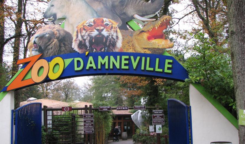Le zoo d'Amnéville rouvre ses portes le 19 mai