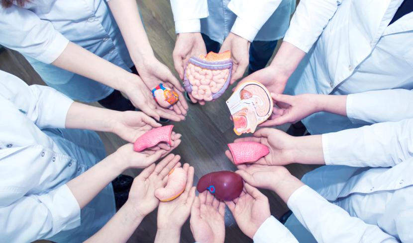 Nancy : le CHRU s'engage et sensibilise au don d'organes