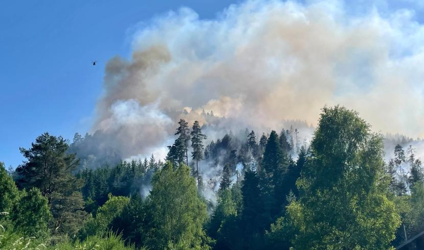 Incendie dans les Vosges : plus de 30 hectares détruits à Bois-le-Champ