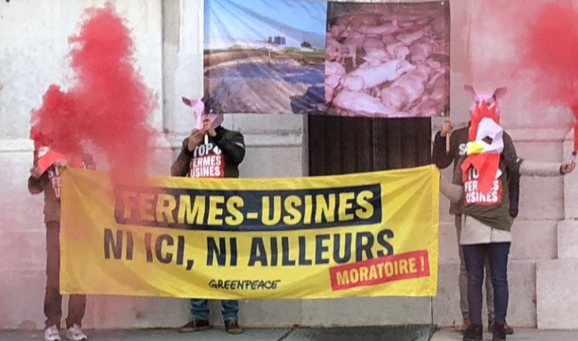 Metz : manifestation de Greenpeace devant la Préfecture