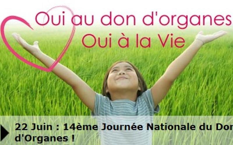 22 juin : Journée nationale du don d'organes