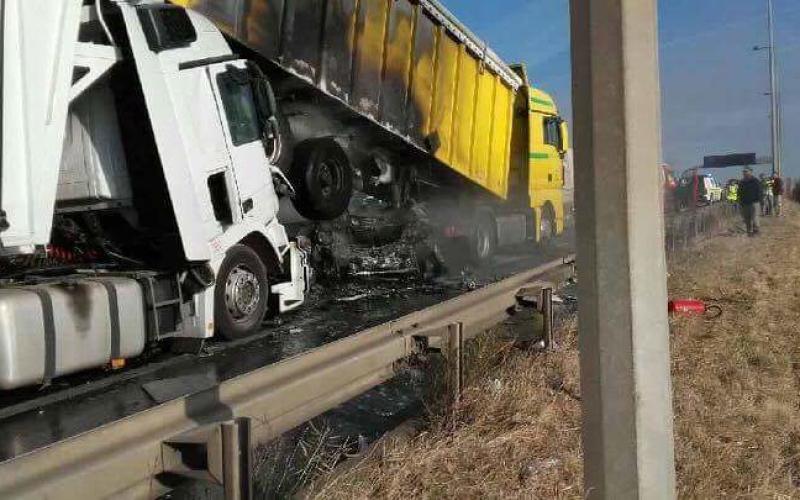 Accident mortel sur l'A31 : un appel à témoins est lancé
