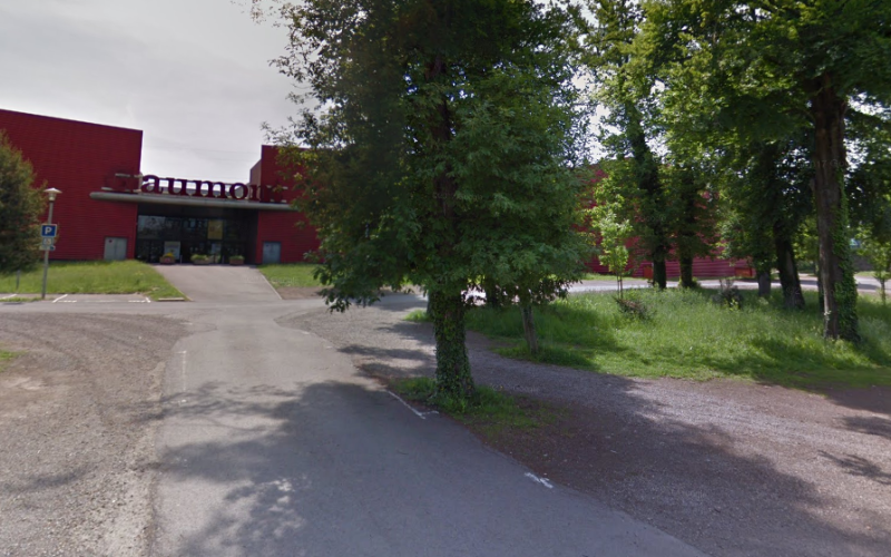 Amnéville : jeune femme tuée par un arbre, une information judiciaire pour « homicide involontaire » ouverte