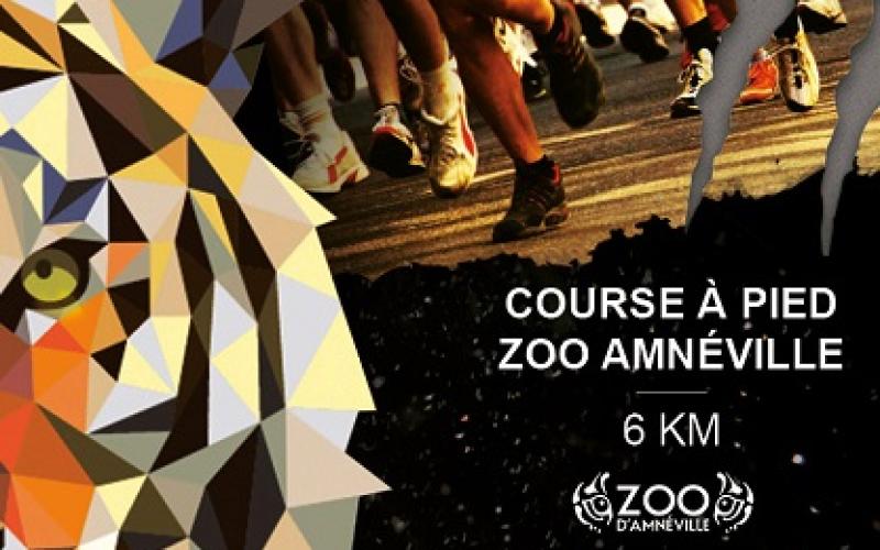 Amnéville : La "Run for tiger" vise le millier de participants