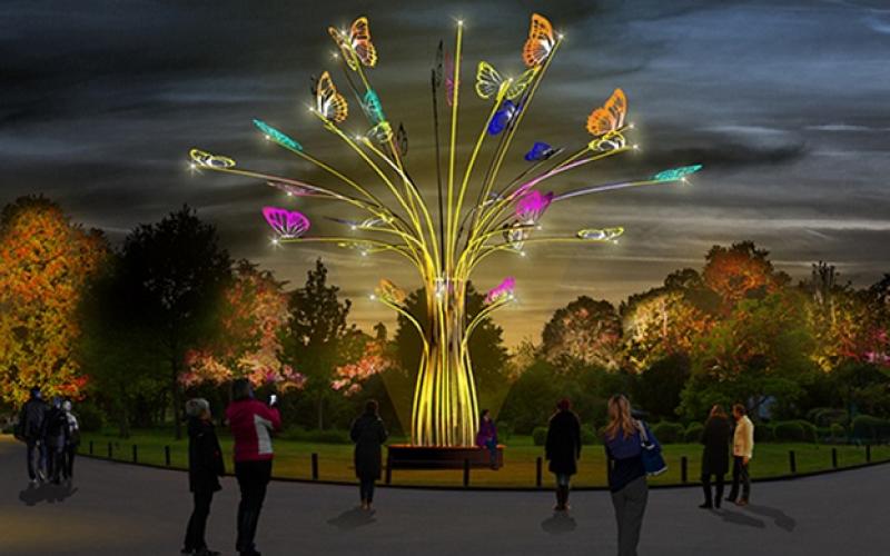 Amnéville se met en lumière pour les festivités de Noël !