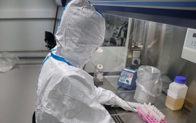 Coronavirus : les derniers chiffres en région Grand-Est