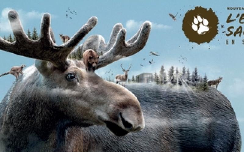 De nombreuses nouveautés au Parc de Sainte-Croix