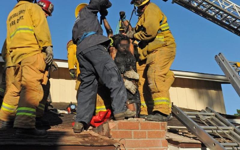 Elle se prend pour Mère Noël