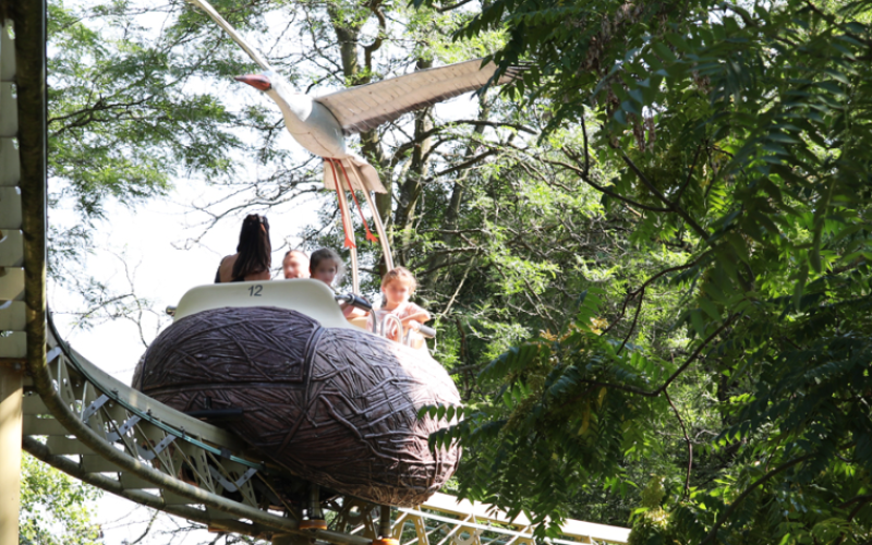 Grand Est : des visiteurs coincés à 5 mètres de haut dans un parc d'attractions