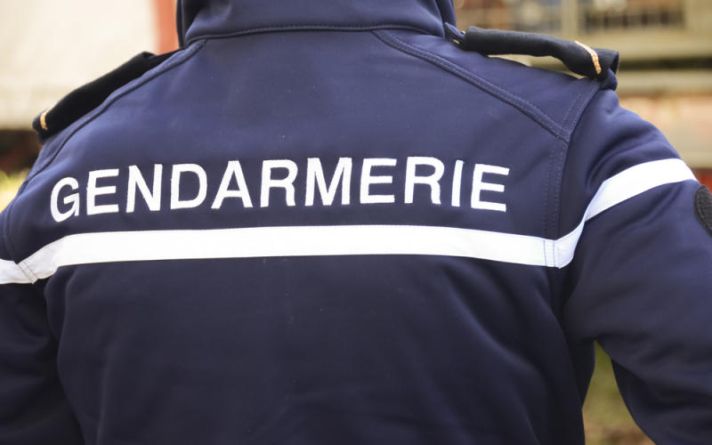 Grand Est : plus de patrouilles de gendarmes dans les trains