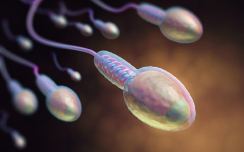 Grand-Est : un appel pour aider les personnes touchées par l'infertilité