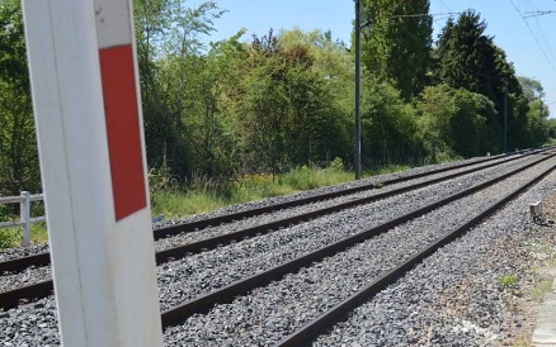 Grand-Est : une femme meurt dans une collision entre une voiture et un TER