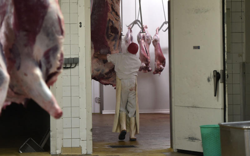 L'Assemblée vote les caméras dans les abattoirs