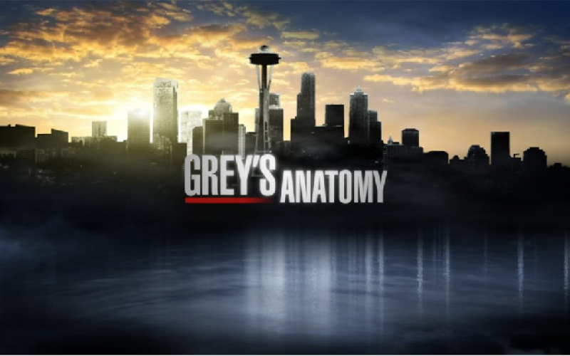 La suite de la saison 13 de "Grey's Anatomy" ne sera pas diffusée sur TF1