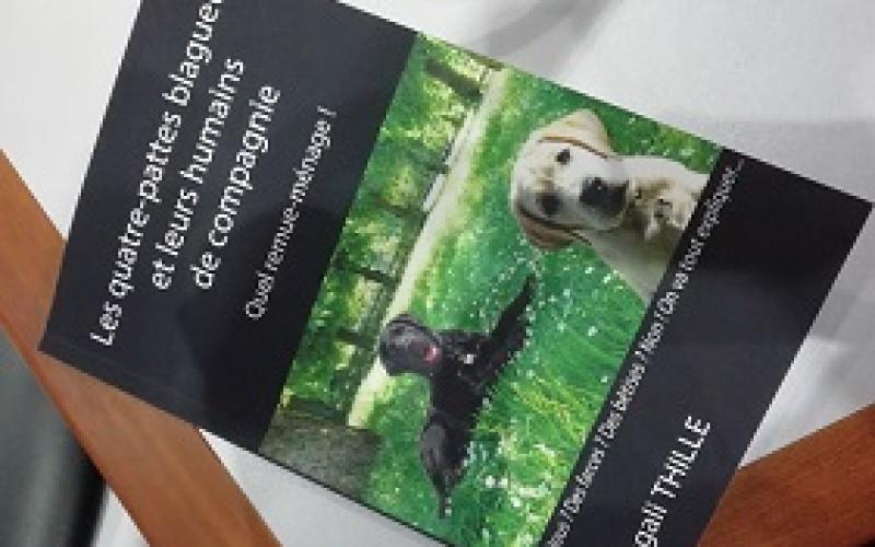 La vie des chiens guides vue de l'intérieur