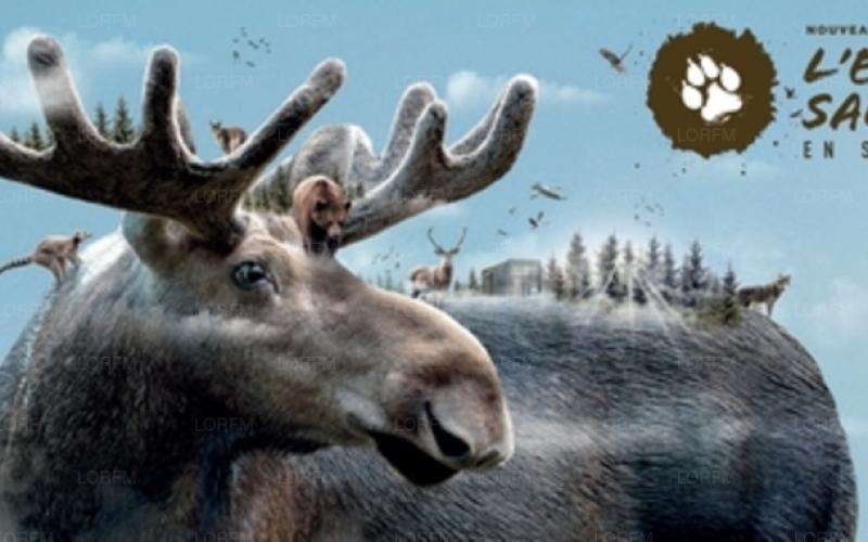 Le Parc de Ste Croix et le Zoo d'Amnéville favoris des internautes !