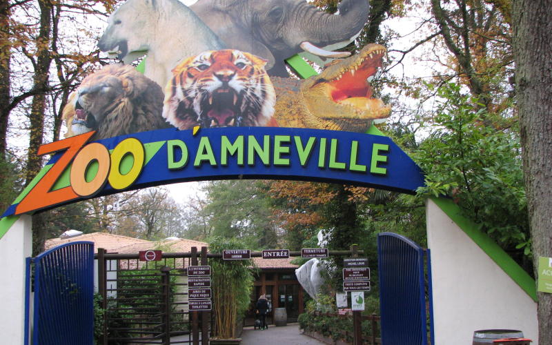 Le zoo d'Amnéville rouvre ses portes le 19 mai