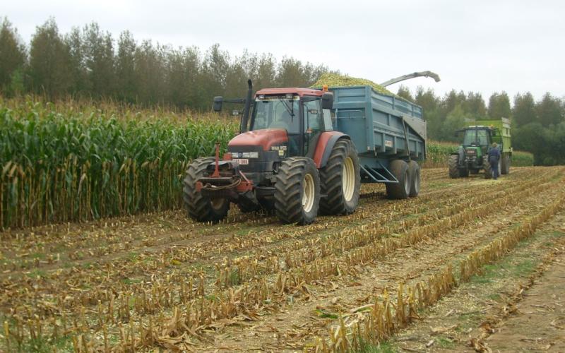 Les agriculteurs mosellans attendent des réponses concrètes sur la nouvelle PAC