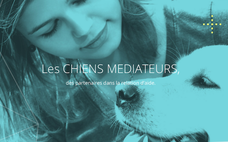 Les chiens médiateurs : aider et rassurer les personnes fragiles, c'est leur mission !