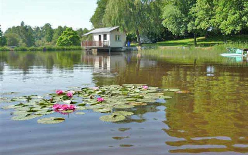 Les eaux de Moselle en proie aux bactéries