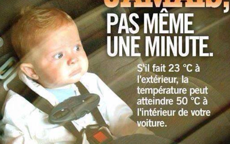 Luxembourg : un "radar" mis au point pour sauver des vies !