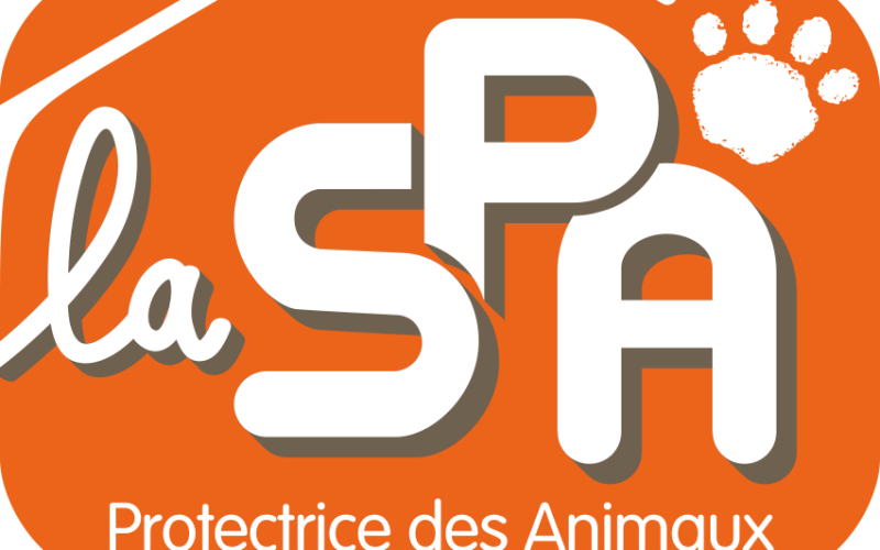 Maltraitances des animaux : 20% de hausse en Moselle par rapport à 2015