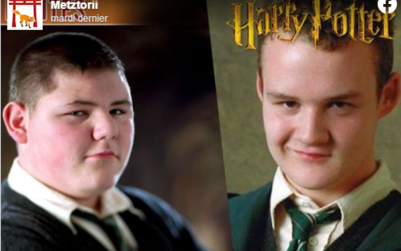 Metz'Torii 2020 : deux personnages de la saga Harry Potter au rendez-vous !