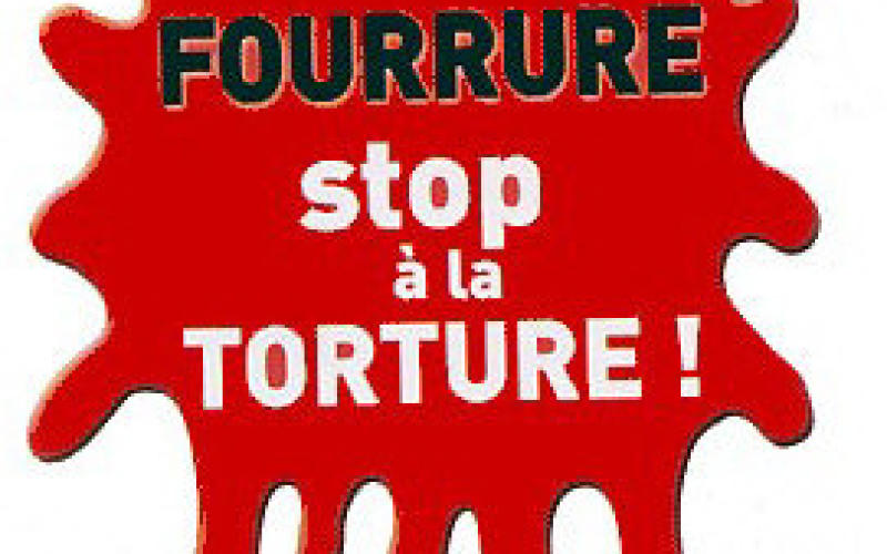 Metz : une marche contre la fourrure animale ce samedi 12 novembre