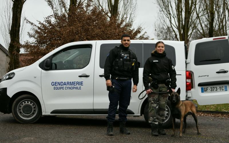 Meuse : un octogénaire retrouvé en forêt grâce à Pops, le malinois