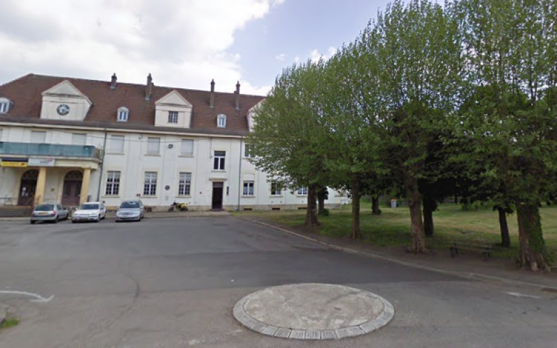 Moselle : une pétition explose sur le web pour sauver des arbres centenaires